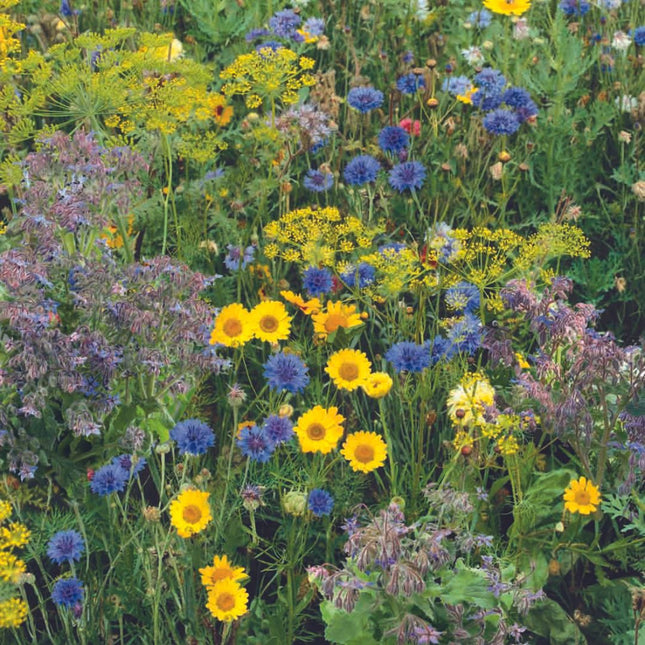 Wilde bloemen zaden | BIO 🌱