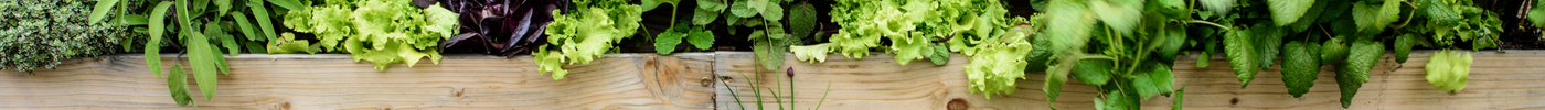 Verticale moestuin voor op je balkon