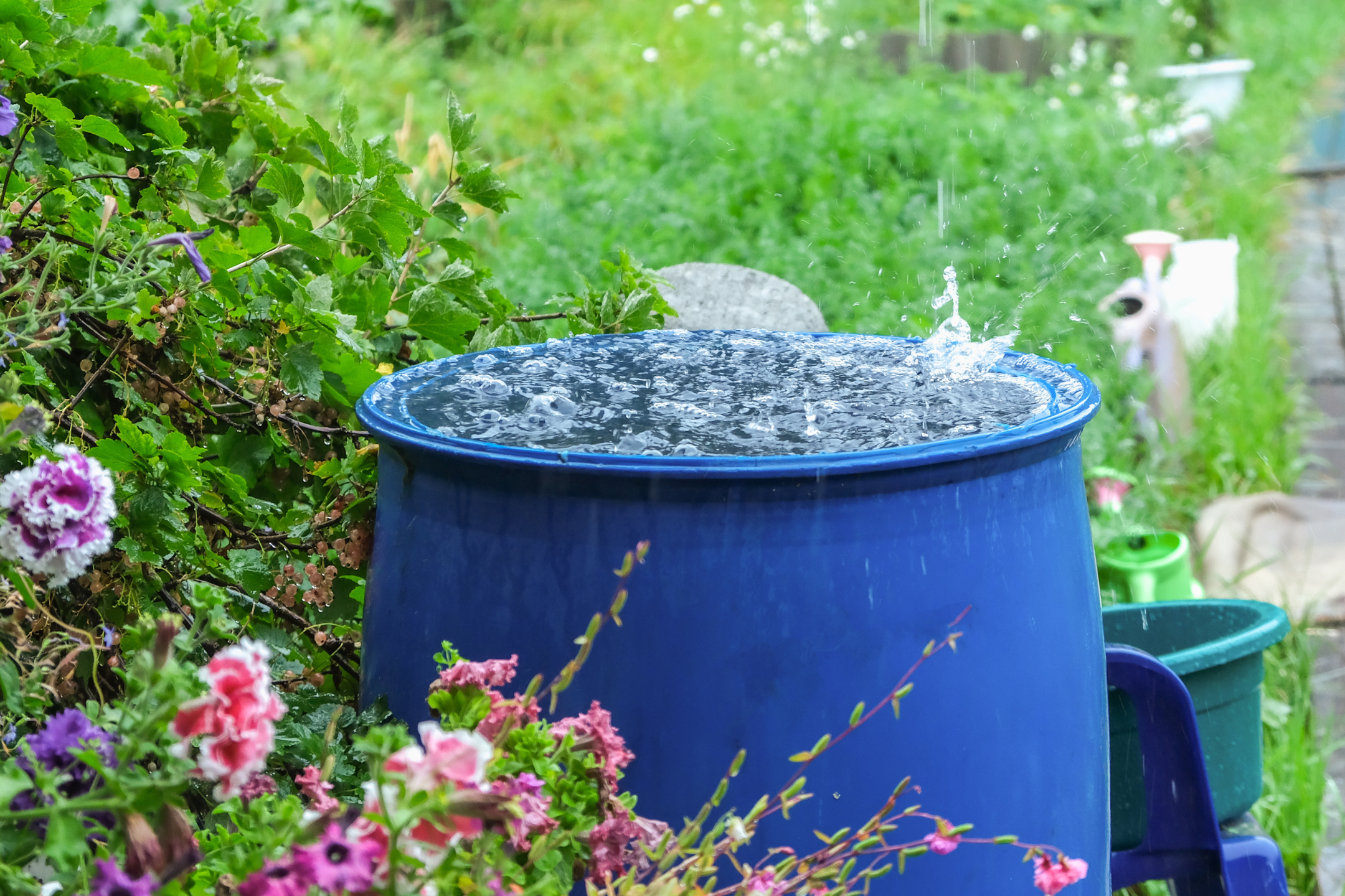 6x water opvangen & besparen in je tuin