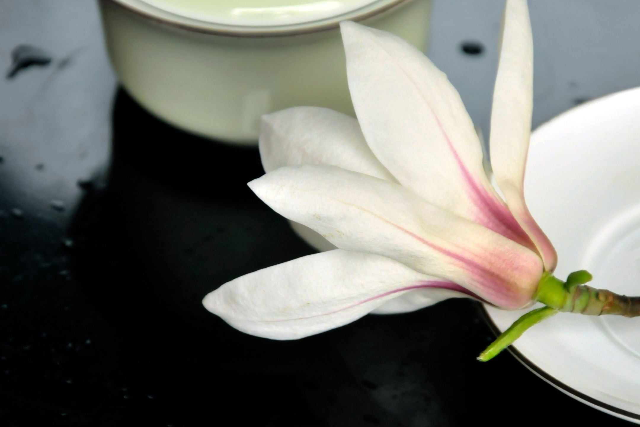 Magnolia siroop maken: een heerlijke traktatie uit eigen tuin