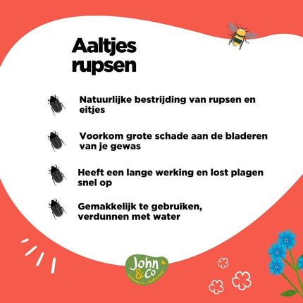 Aaltjes tegen rupsen