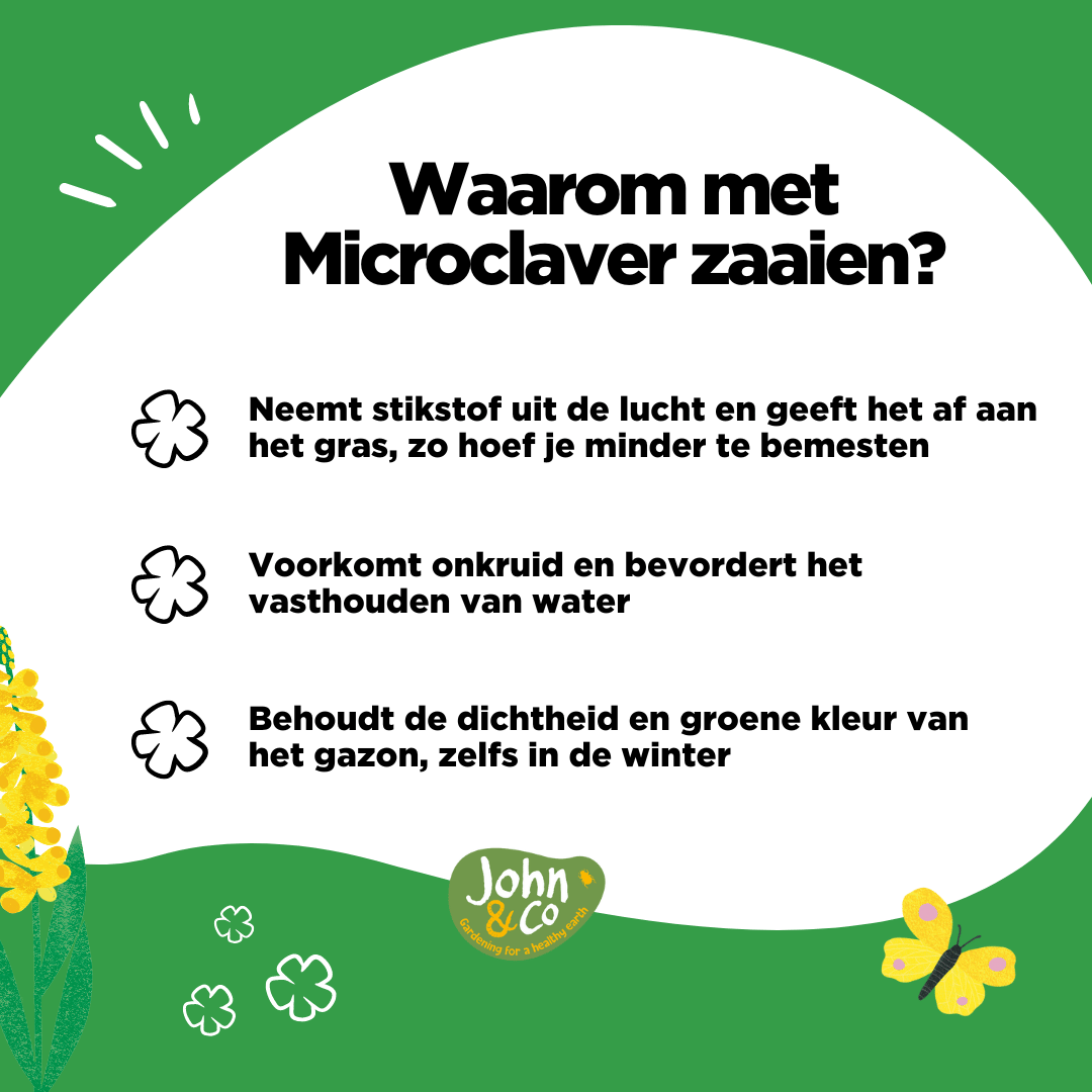 Graszaad met Miniclover 2KG – Microklaver gazon | DCM – Mulder Retail B.V Graszaad met Miniclover 2KG – Microklaver gazon | DCM – Mulder Retail B.V