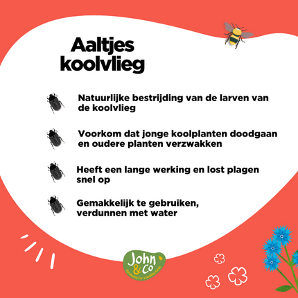 Aaltjes tegen koolvlieg (larven)