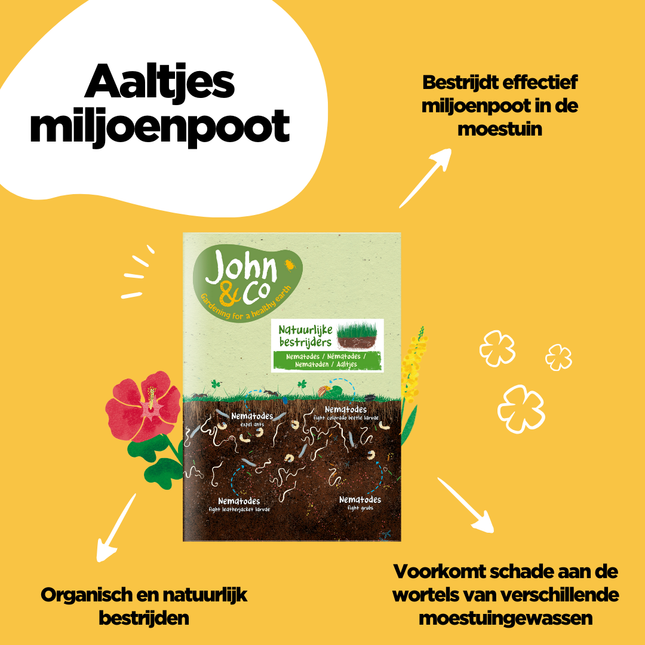 Aaltjes tegen miljoenpoot