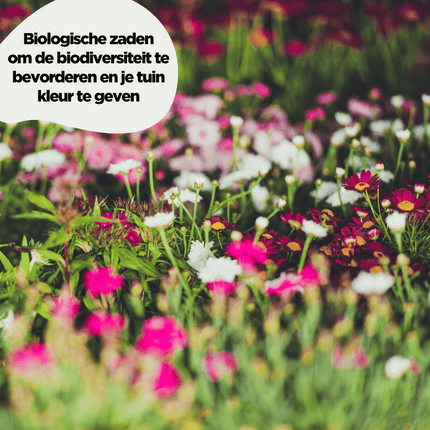 waarom bio bloemenzaad