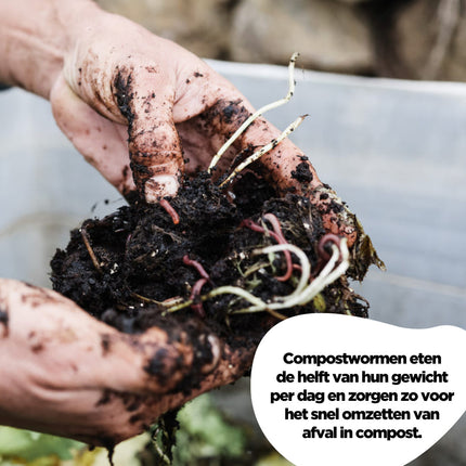 Compostwormen 1kg