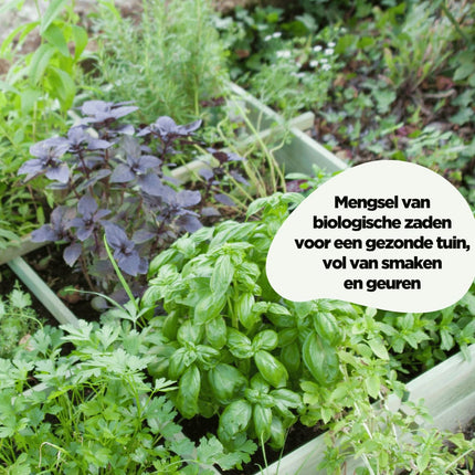 biologische zaden kopen