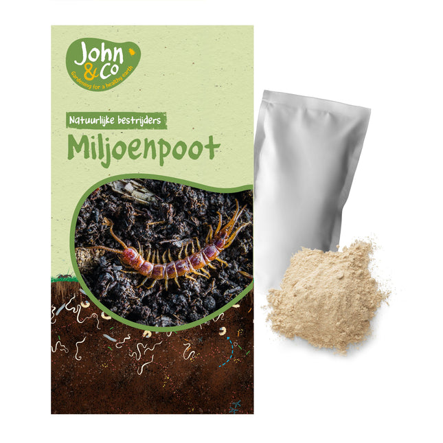 Aaltjes tegen miljoenpoot