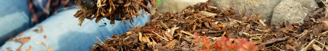 mulch moestuin