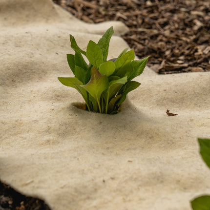 moestuin beschermen tegen kou