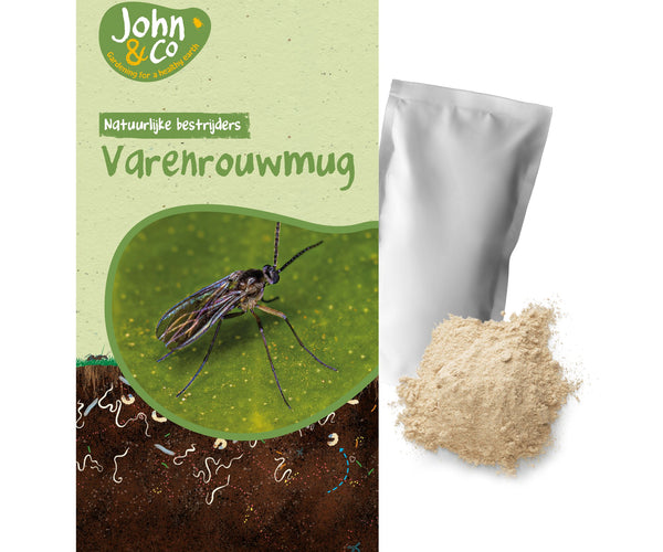 Rouwvliegjes bestrijden: De Oplossing Rouwvliegjes bestrijden: De Oplossing